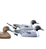 ������ ���� ��������� 4 ������� 2 ���� (8022SDU)