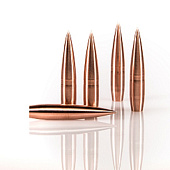 ���� 7.62x51 (FMJ, ���. ����. ������, ���)