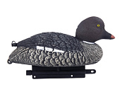 ������ ������ ���� SGU (North Way)