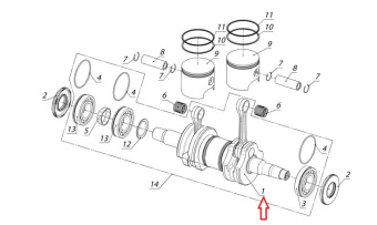    550 (C40500720,RM )