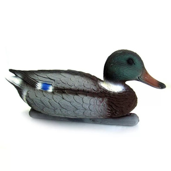 ������ ������-�������� (�������)