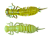Жук-личинка LARVA 64мм (съедобн. желтый в ассорт.) (уп. 8шт) Жук-личинка LARVA 64мм (съедобн. желтый в ассорт.) (уп. 8шт)
