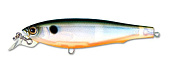  DUEL&YO-ZURI 3D Minnow R725 PTS 100 17.