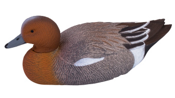 ������ ������-�������� (������)