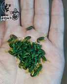 Мормыш иск. ДжиGep Хант 15мм (цвет натуральный, аромат креветка) (уп. 50шт) Мормыш иск. ДжиGep Хант 15мм (цвет натуральный, аромат креветка) (уп. 50шт)