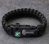    41 (, , , ),  10224069