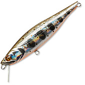  PONTOON 21 P21-KALD-95SP-SR-050