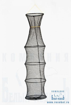 ����� ����������  ���-4 (�) 