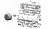������ �������� ���� (Weber 105041)