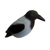 ������ ������ �����