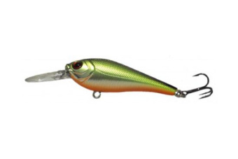  MINNOW - M3S  SSV - M3S - 04