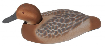 ������ ������������� �����-����