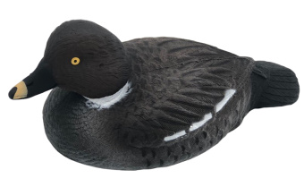 ������ ������-���� (������)