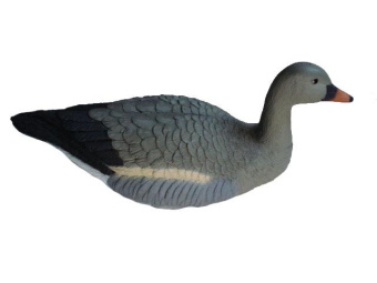 ������ ���� ��������, ��������� (7351) 