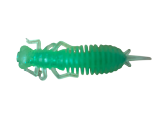 Жук-личинка LARVA 64мм (съедобн. зеленый) (уп. 8шт) Жук-личинка LARVA 64мм (съедобн. зеленый) (уп. 8шт)