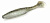   ALLVEGA "Belly Dance Shad" 10 9,7 SB-BDS100-014