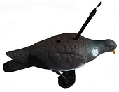 ������ ��������� ������ � ������ �� ����� (7817) 