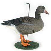 ������ ���� ��������� Sport Plast (����������, � ���������� ����) LG 740