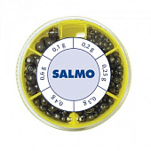  Salmo  PL 6 . . 070 	(1007-ST70)