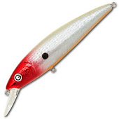  PONTOON 21 P21-BON-105SP-SR-002