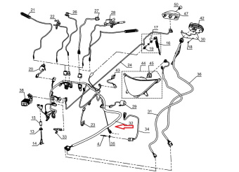 ���� �������� ����� ����� (L31100320)