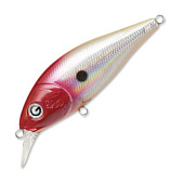  PONTOON 21, GOSH-70SP SR-003