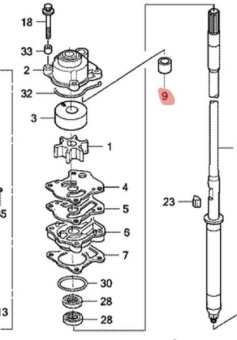 Кольцо уплотнительное Honda (19253-ZV5-000) Кольцо уплотнительное Honda (19253-ZV5-000)
