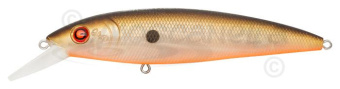  PONTOON 21, BON-75SP SR-009