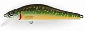  Strike Pro Archback 100  10 20 . 0,7 -1,5 EG-125B-SP#A164F