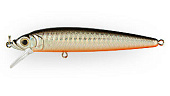  Strike Pro Alpha Minnow 95  9,5 9 . 0,6 -1,6 EG-034F#A70-713