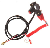 ���������� ���������� ��������� ��������� � ���������