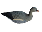 ������ ���� ��������, ��������� (7351) 