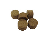 ��� ��� (�10) 20 ��. (��.200��.)