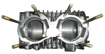 ������ ��������� ����� (110500110)