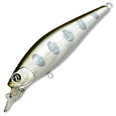  PONTOON 21 P21-SSH-90SP-SR-304