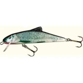  Salmo Skinner F 10/RGS